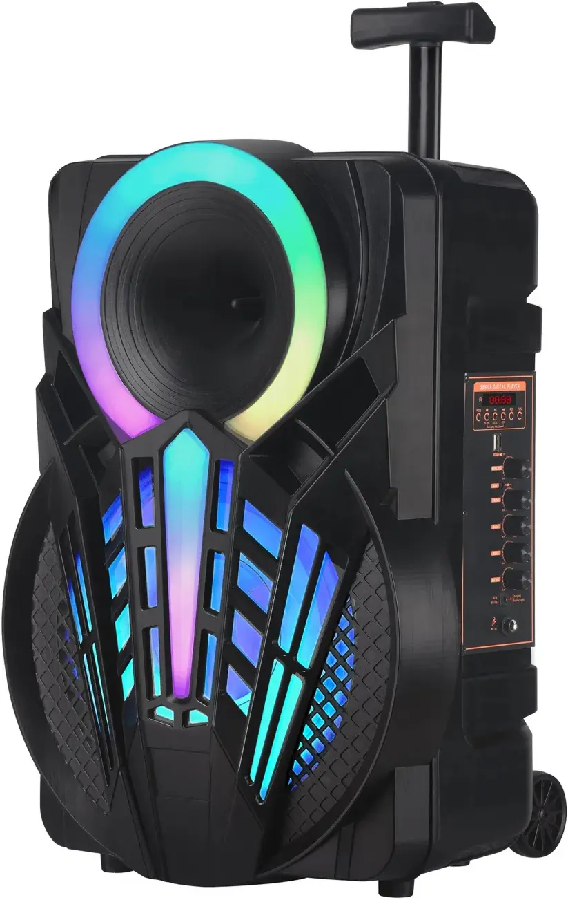 Sistem acustic portabil Hoco DS40 (Black)