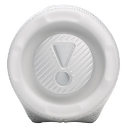 Портативная колонка JBL Charge 6 (White) Thumb