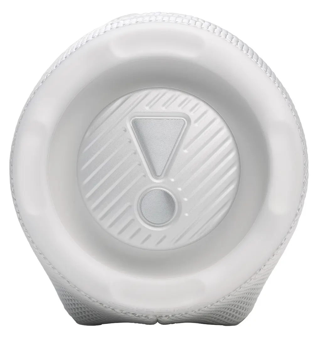 Портативная колонка JBL Charge 6 (White)