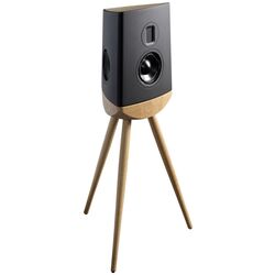 Sistem acustic Lyngdorf Cue-100 2pack + TDAI-3400 (Oak/Black) Thumb