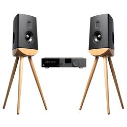 Sistem acustic Lyngdorf Cue-100 2pack + TDAI-3400 (Oak/Black)
