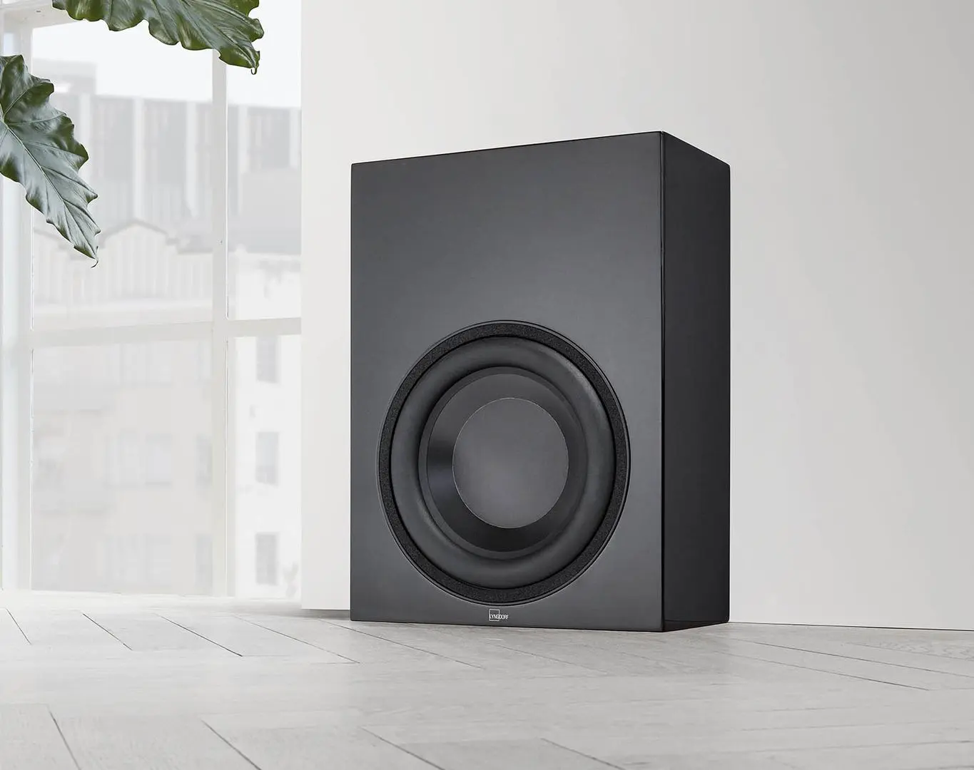 Subwoofer Lyngdorf BW-2 (Black) - 3