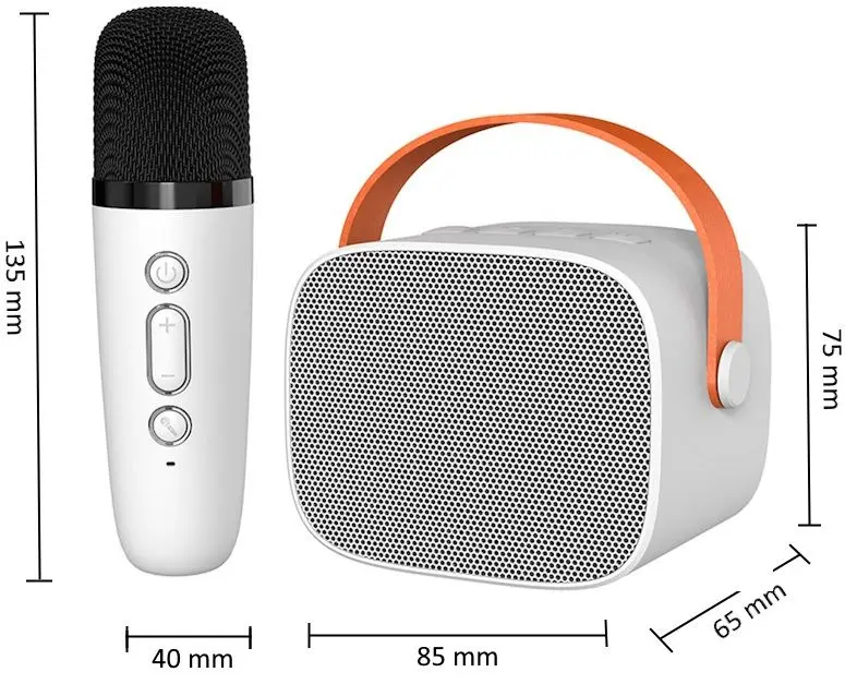 Set karaoke portabil P2 (White)