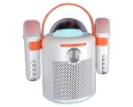 Set karaoke portabil Y11 (White)