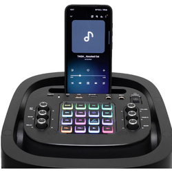 Беспроводная портативная колонка Sal PAR2100BT (Black) Thumb