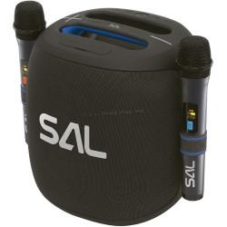 Boombox + 2 microfoane Sal Parcube (Black)