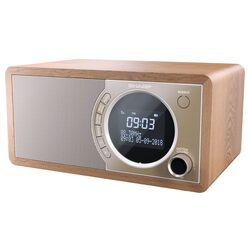 Портативный радиоприемник Sharp DR-450 (Brown)