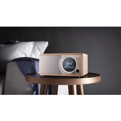 Портативный радиоприемник Sharp DR-450 (Brown) Thumb