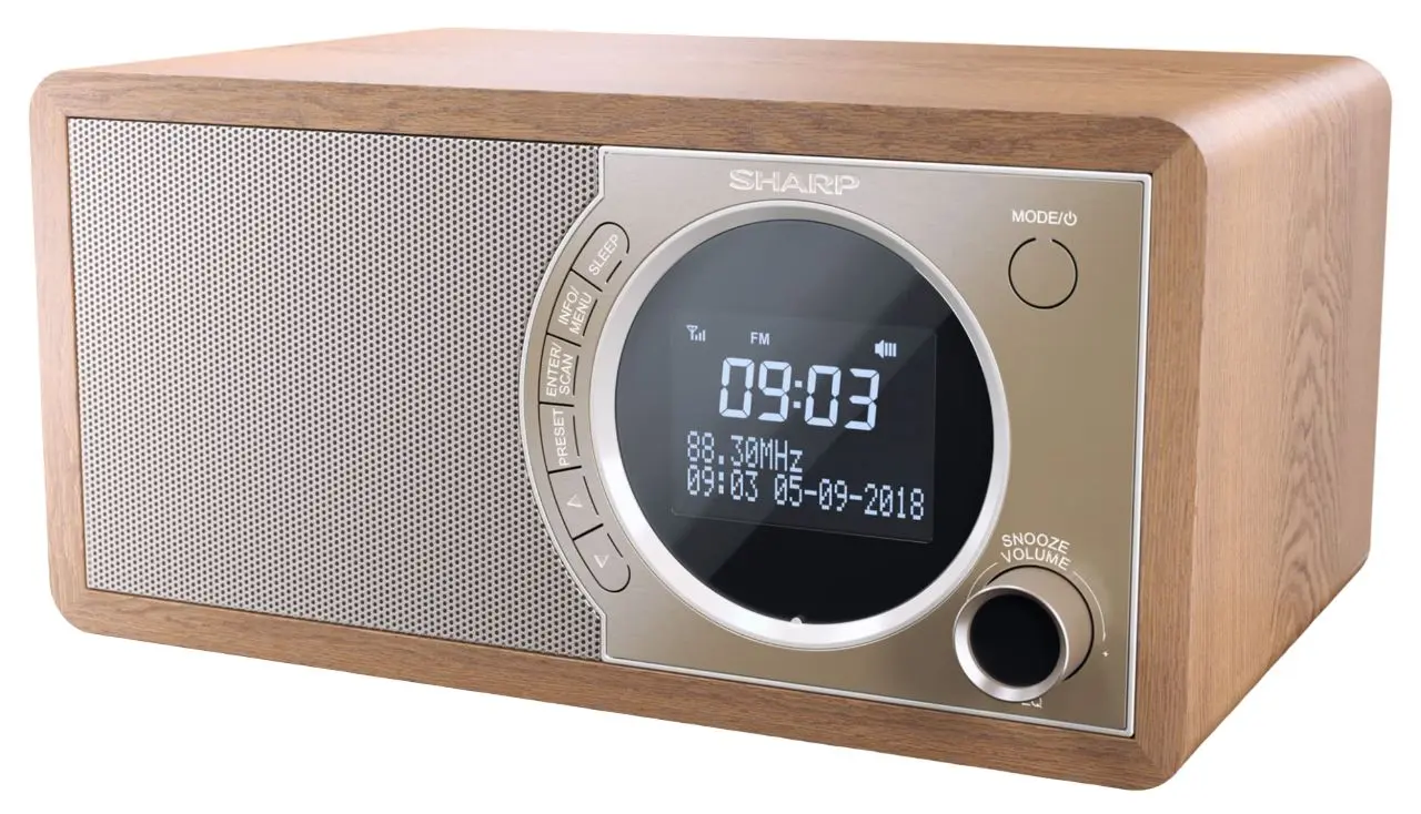Портативный радиоприемник Sharp DR-450 (Brown)