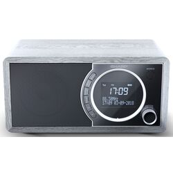Портативный радиоприемник Sharp DR-450 (Grey) Thumb