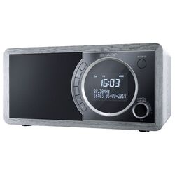 Портативный радиоприемник Sharp DR-450 (Grey)