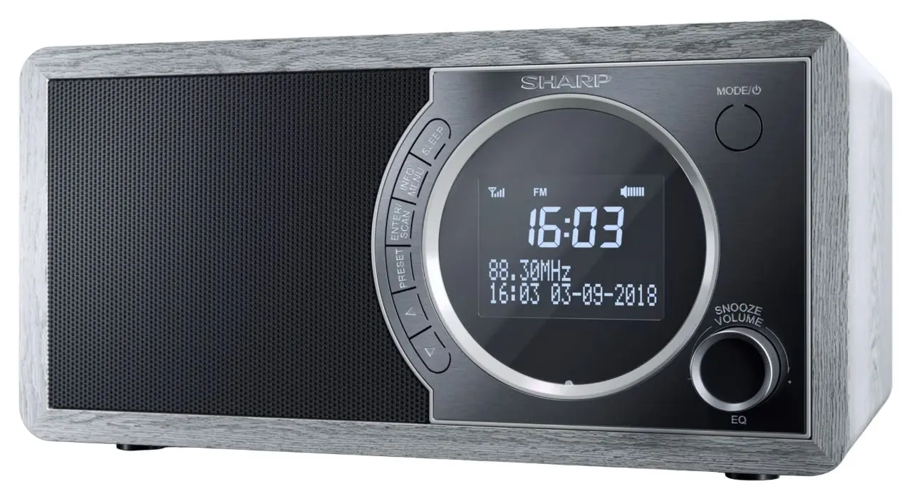 Портативный радиоприемник Sharp DR-450 (Grey)
