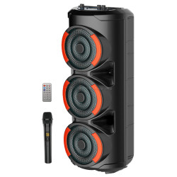 Портативная акустическая система Sing-E ZQS3601 (Black)