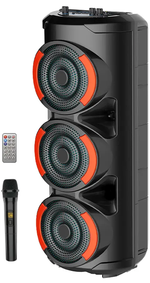Портативная акустическая система Sing-E ZQS3601 (Black)