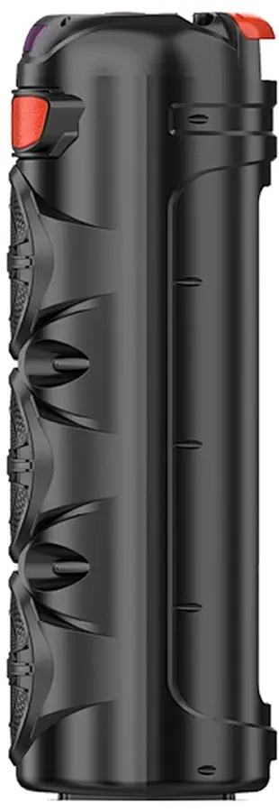 Портативная акустическая система Sing-E ZQS6301 (Black) - 3