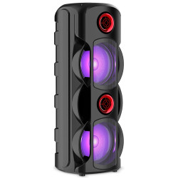 Портативная акустическая система Sing-E ZQS8225 (Black) Thumb