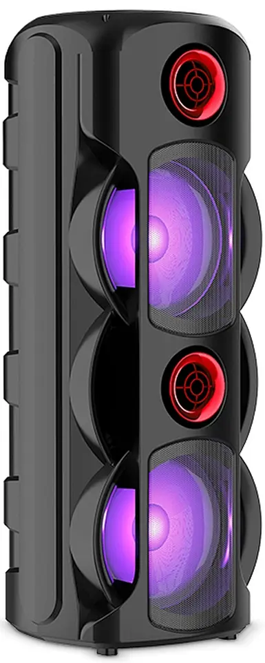 Портативная акустическая система Sing-E ZQS8225 (Black)