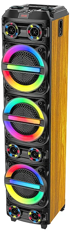 Портативная акустическая система Sing-E ZQS8315 (Black) - 2