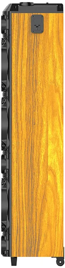 Портативная акустическая система Sing-E ZQS8315 (Black) - 3