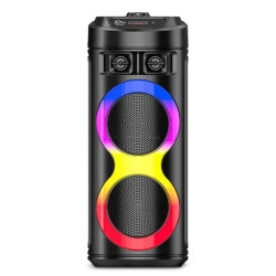 Портативная колонка Sing-E ZQS6220 (Black)