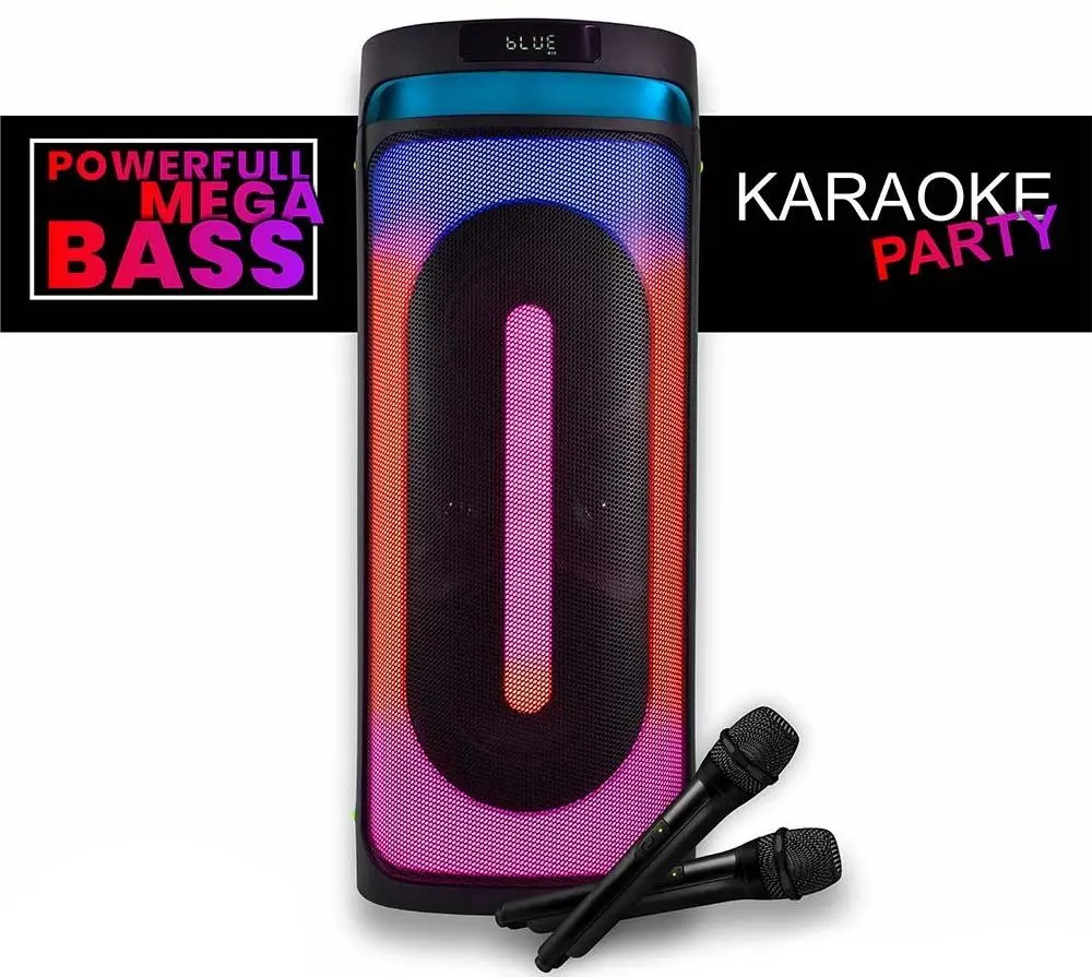 Портативная акустическая система Vesta PS-X208M2 (Black)