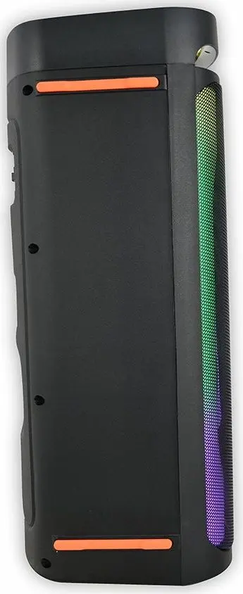 Портативная акустическая система Vesta PS-X208M2 (Black)