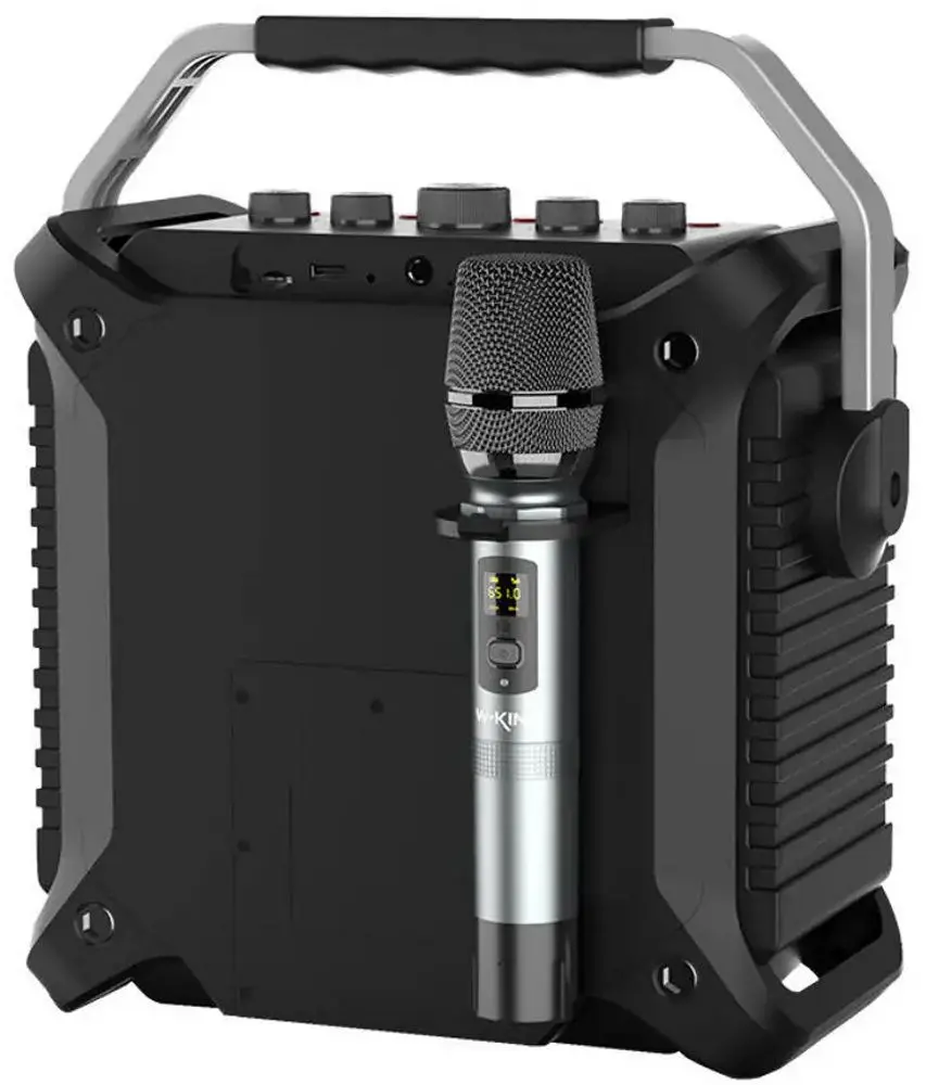Sistem de karaoke W-King K3H (Black) - 2