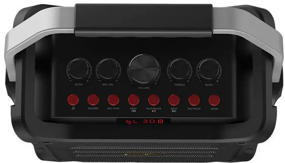 Sistem de karaoke W-King K3H (Black) - 4