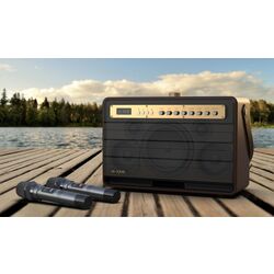Sistem de karaoke W-King K6L (Brown) Thumb