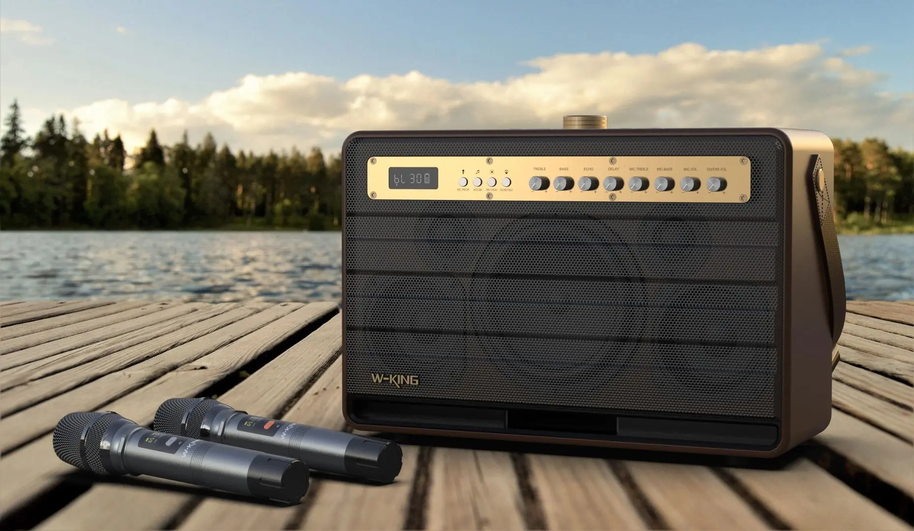 Sistem de karaoke W-King K6L (Brown) - 2