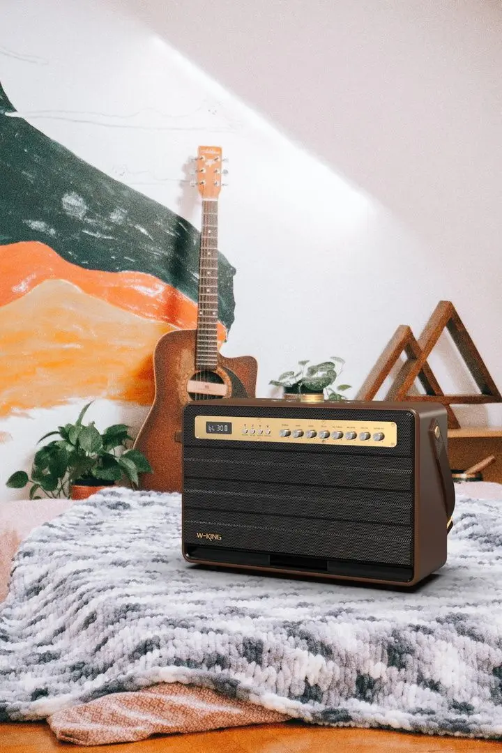 Sistem de karaoke W-King K6L (Brown) - 5
