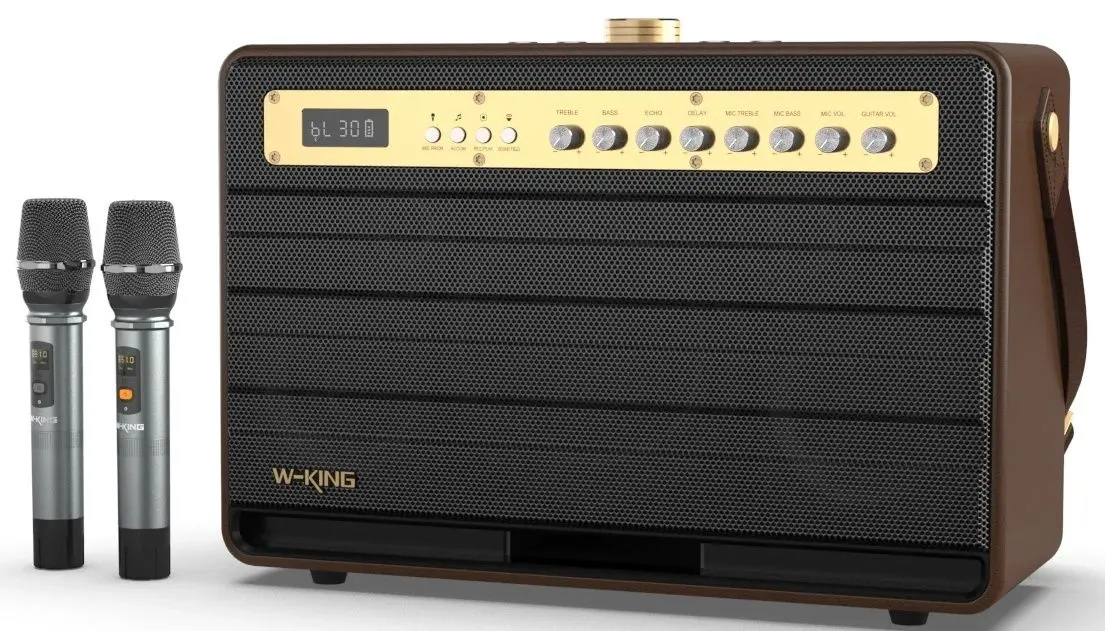 Sistem de karaoke W-King K6L (Brown)