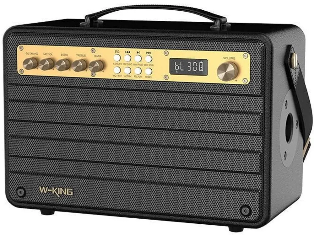 Sistem de karaoke W-KING K6S (Black) - 2
