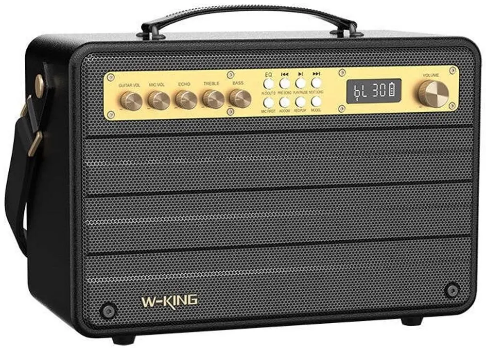 Sistem de karaoke W-KING K6S (Black) - 3
