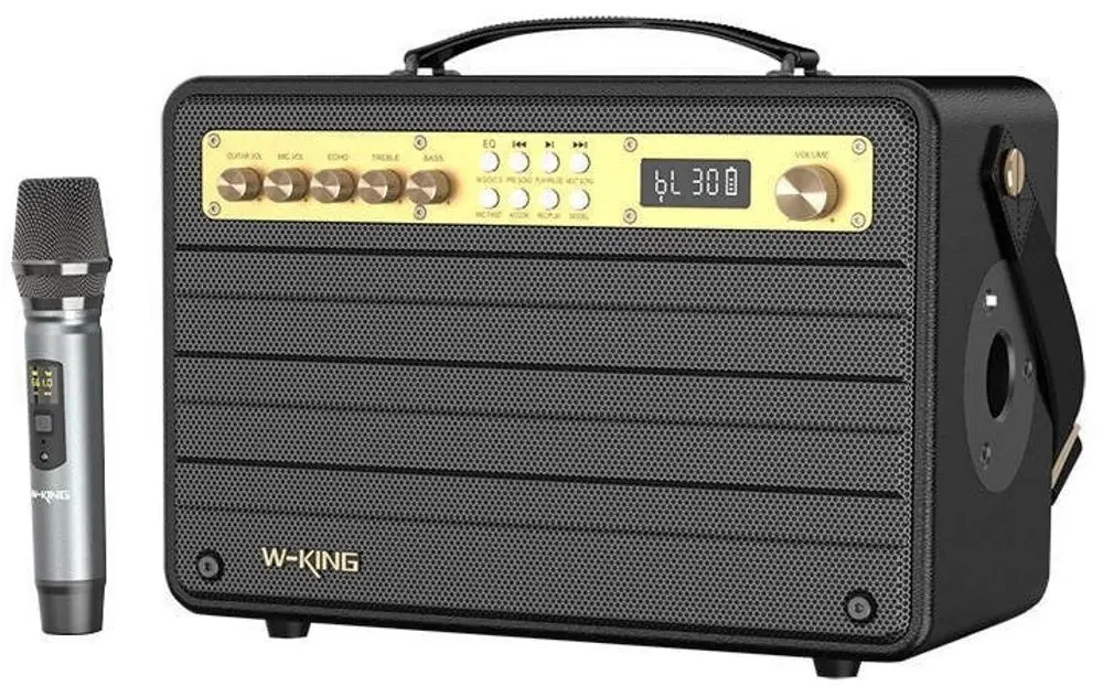 Sistem de karaoke W-KING K6S (Black)