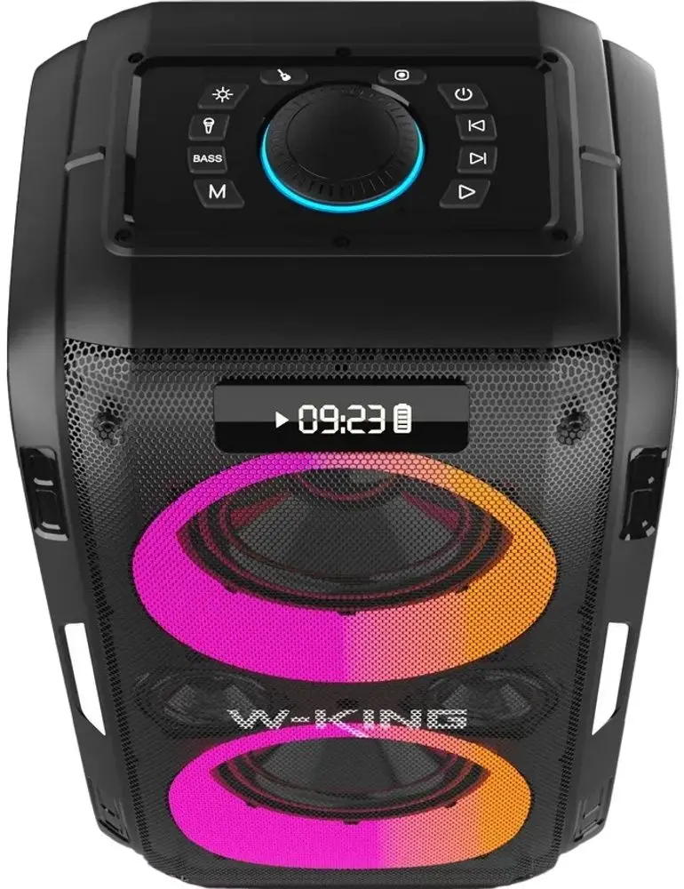 Sistem de karaoke W-King T9 Pro (Black) - 2