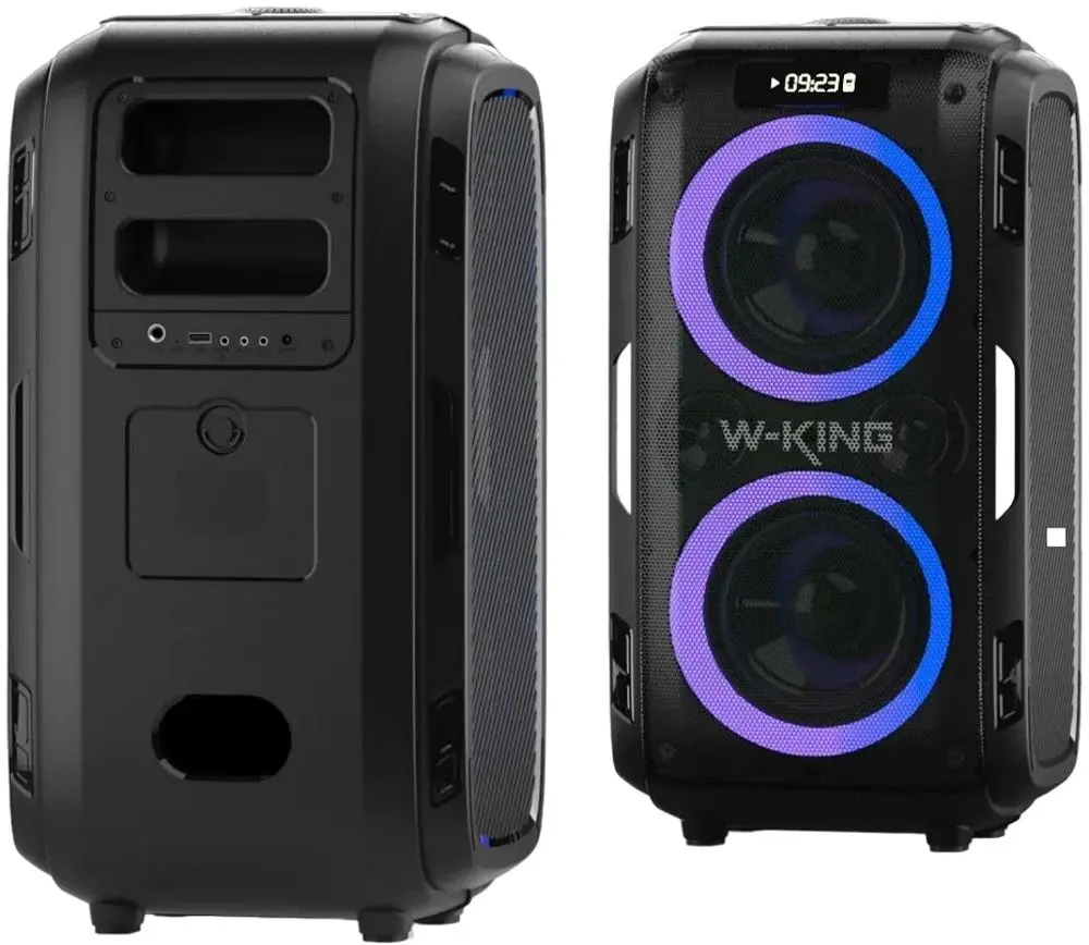 Sistem de karaoke W-King T9 Pro (Black) - 3
