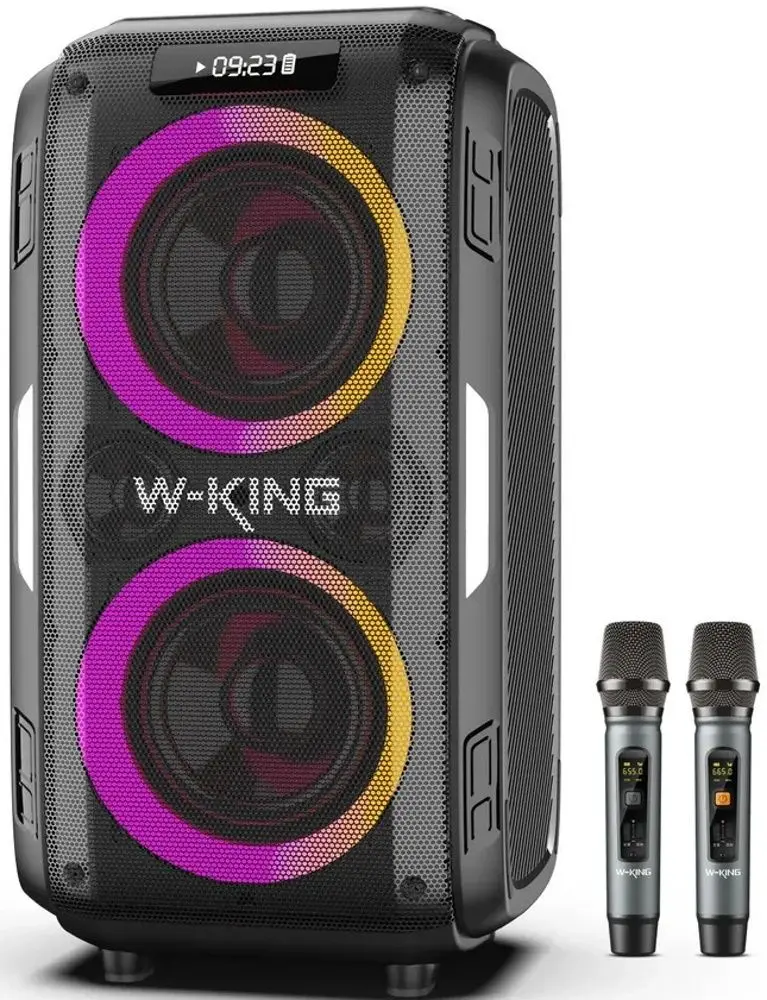 Sistem de karaoke W-King T9 Pro (Black)