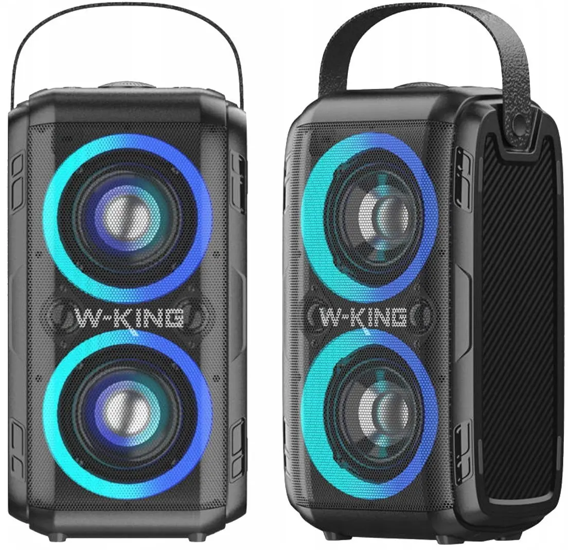 Sistem de karaoke W-King T9II (Black) - 2