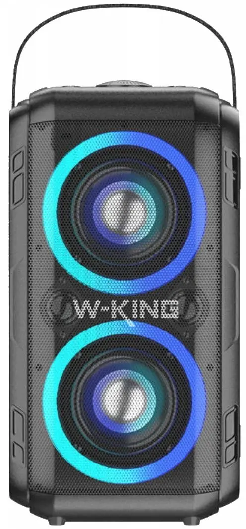 Sistem de karaoke W-King T9II (Black)
