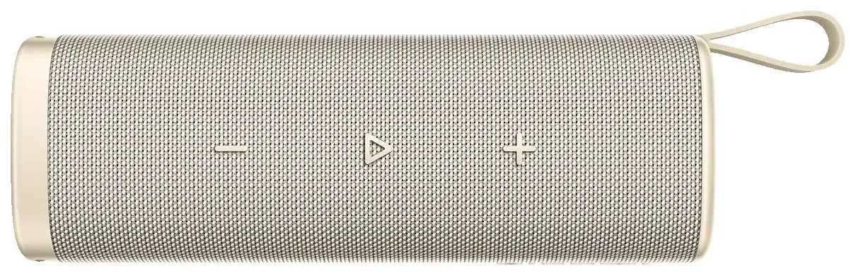 Портативная колонка Xiaomi Sound Outdoor MDZ-38-DB (Gold)