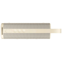 Портативная колонка Xiaomi Sound Outdoor MDZ-38-DB (Gold) Thumb