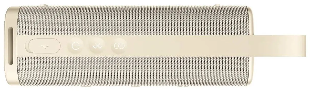 Портативная колонка Xiaomi Sound Outdoor MDZ-38-DB (Gold)
