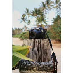 Цифровой фотоаппарат Canon EOS R10 Body Thumb