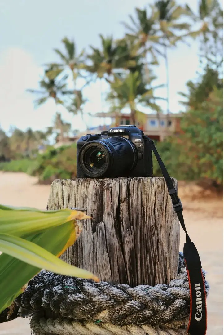 Цифровой фотоаппарат Canon EOS R10 Body - 3