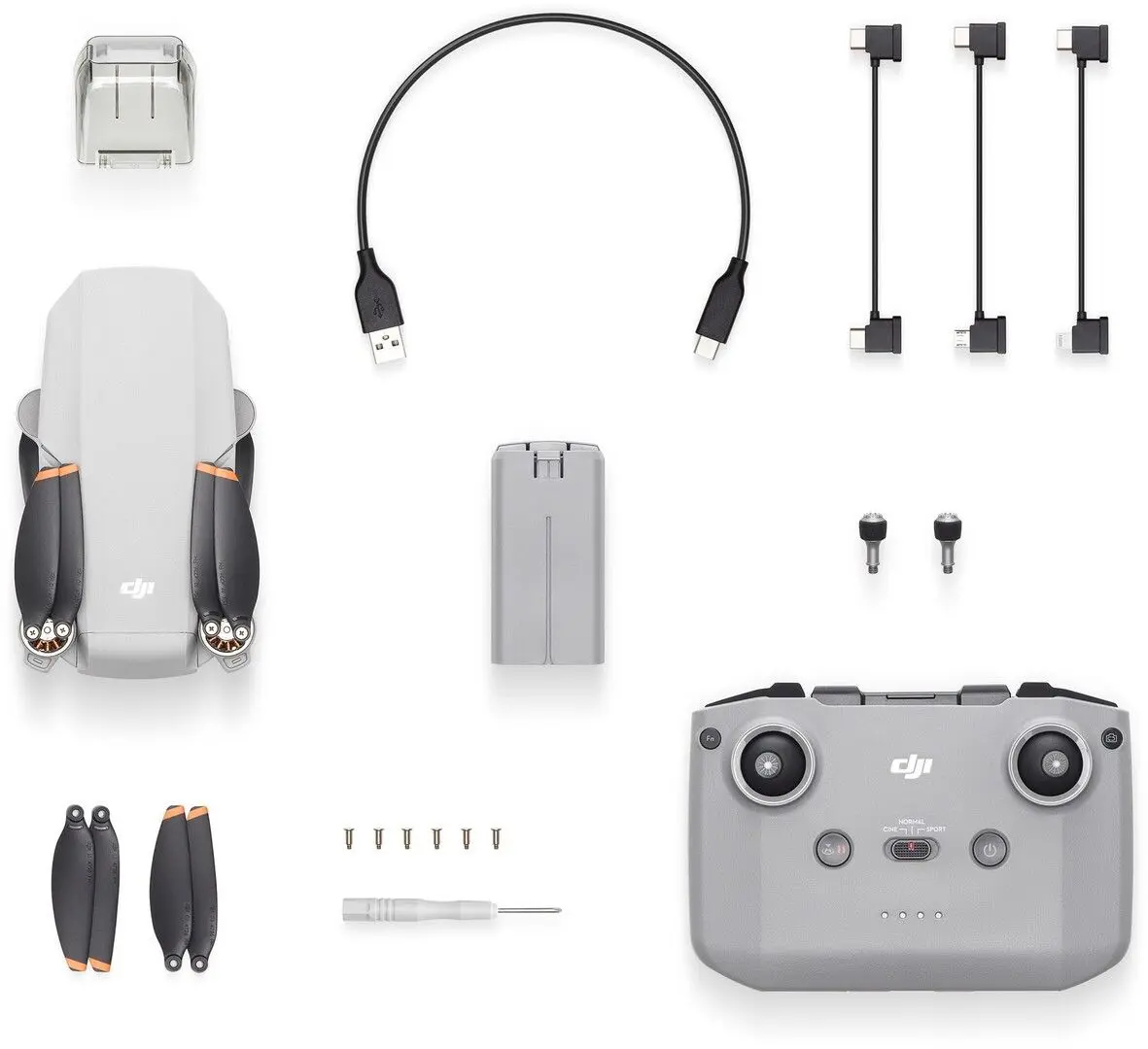 Quadcopter DJI Mini 2 (White/Gray)