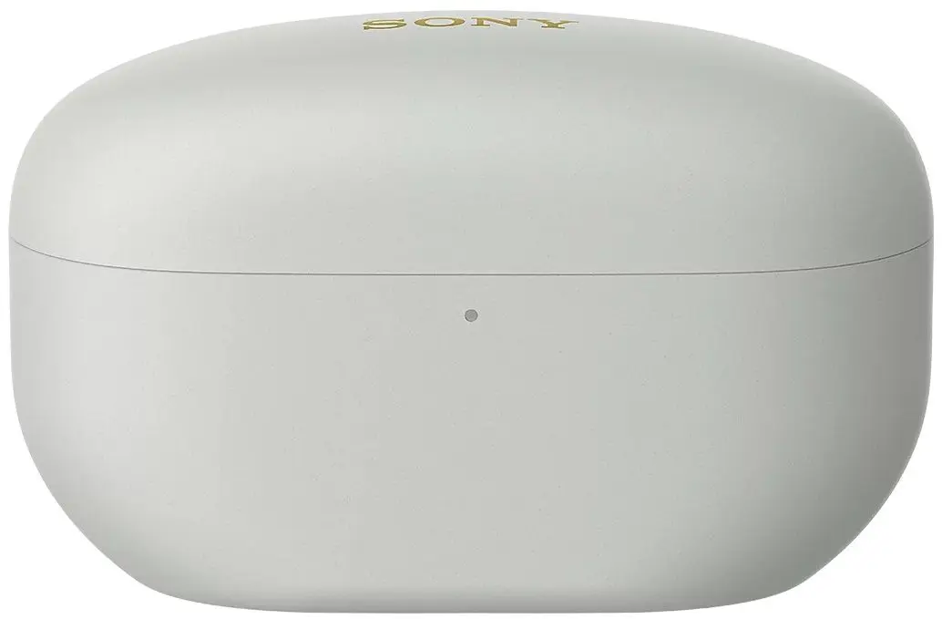 Беспроводные наушники Sony WF-1000XM5S (Silver) - 2