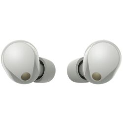 Беспроводные наушники Sony WF-1000XM5S (Silver) Thumb