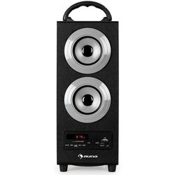 Беспроводная портативная колонка Auna Beachboy (Silver/Black) Thumb