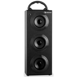 Беспроводная портативная колонка Auna Beachboy XXL (Black)